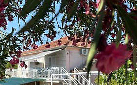 Korčula Guest House